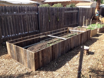 Raised bed made of reclaimed fence boards with Hugel mound inside. The raised bed will be completely filled once we collect more free materials.